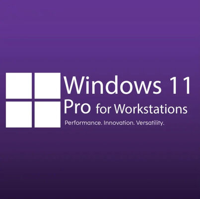 Win 10/11 Pro For Workstation Dual User Activation Ideal For Advanced Computing