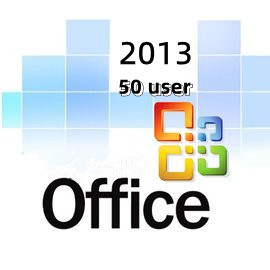 Email Lifetime  Ms Office 2013 Product Key 50 User License