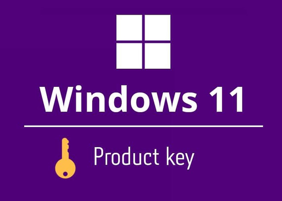La livraison à la maison d'email de clé de produit de  Windows 11 de langue de Muliti