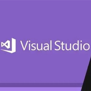 Produit 100% de code d'entreprise d'activation de clé d'activation de 20 gigaoctets Visual Studio 2019