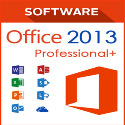 Utilisateur 2013 mordu de l'activateur 1 de la clé 64 plus professionnels globaux de produit de DVD  Office