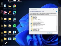 Clé professionnelle de Windows 11