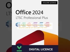 Au niveau mondial, Office 2024 Professional Plus LTSC Licence de volume de 100 utilisateurs pour gagner